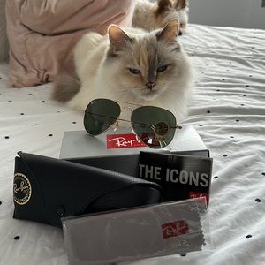 Ray Ban aviators